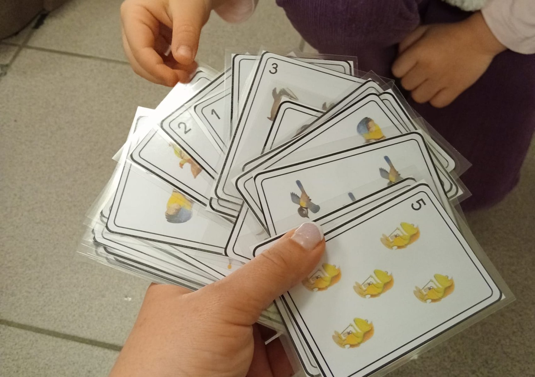 whatsapp image 2026-01-16 at 22.47.24 7